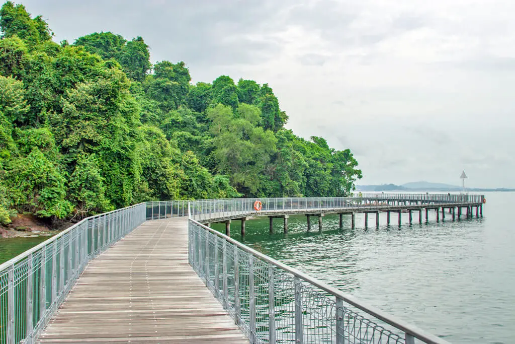 Von grünen Bäumen umgebener Steg über dem Wasser in Pulau Ubin