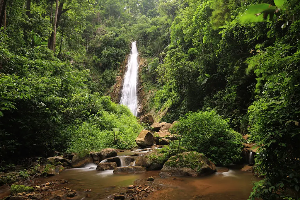 Khun Korn Wasserfall im Wald umgeben von grünen Bäumen und Gebüsch