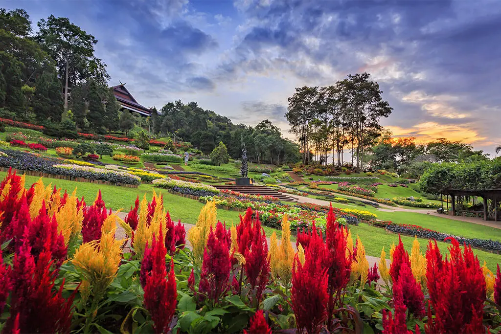 Gelbe und rote Pflanzen im Mae Fa Luang Garden am Hang unterhalb des Doi Tung Palace