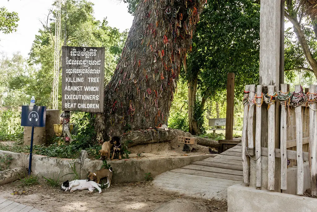 Der sogenannte Killing Tree auf den Killing Fields in Phnom Penh mit vier kleinen Welpen