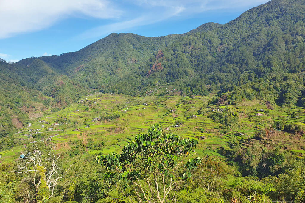 Ausblick auf die grünen Reisterrassen in den Bergen Moyoyaos