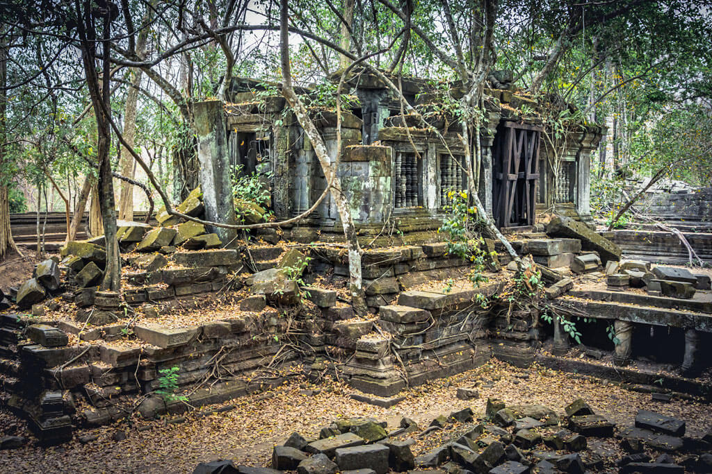 Mit Wurzeln überwachsene Ruine des Beng Malea Tempels