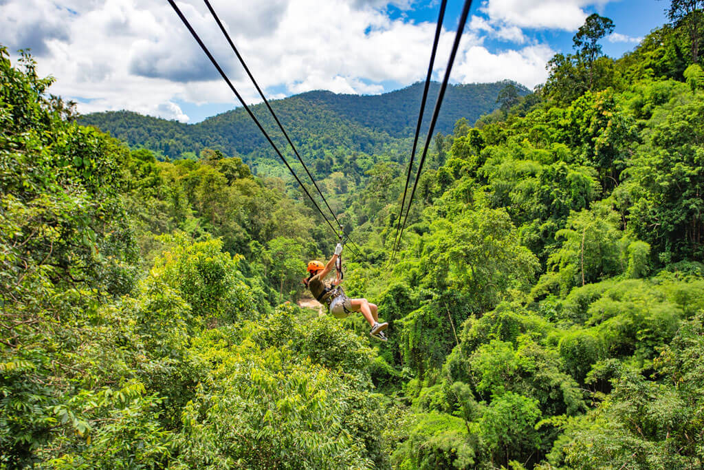 Person macht ziplining durch den Wald