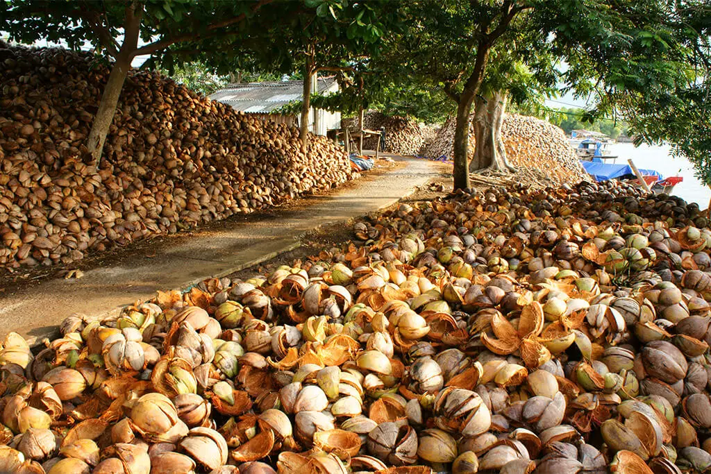 Viele Kokosnuss-Schalen an einer Straße am Flussufer.