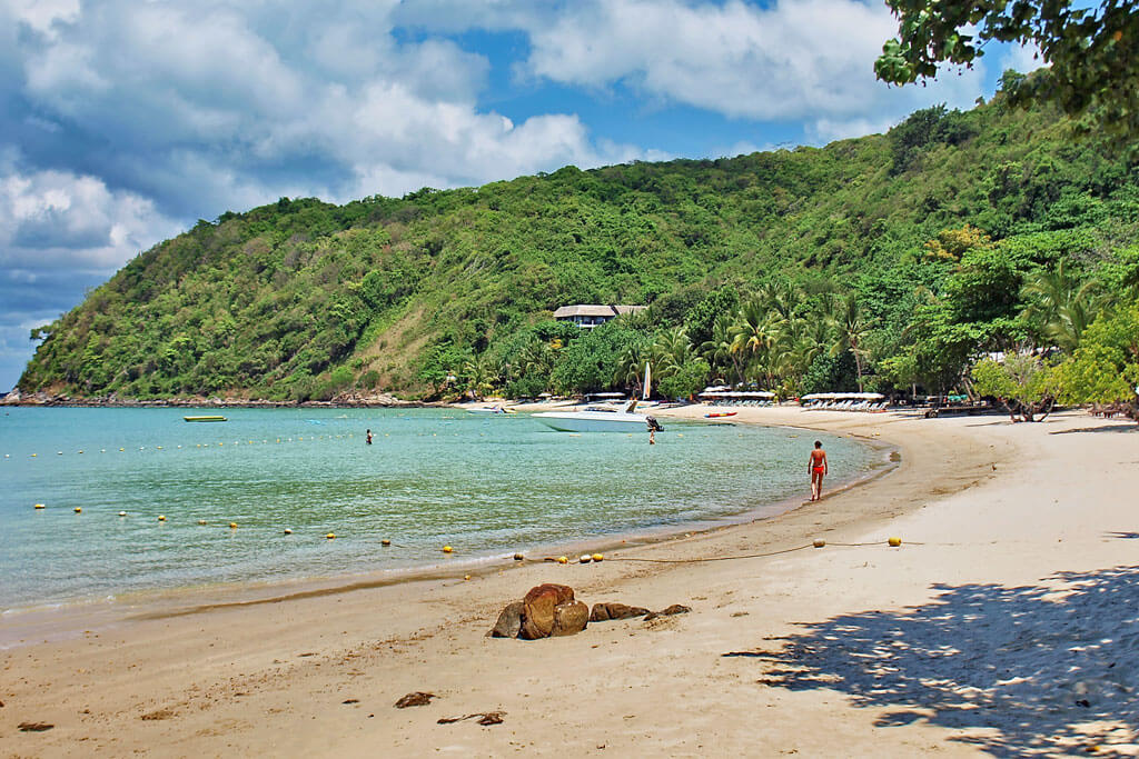 Ein Strandabschnitt mit vielen Bäumen, bewachsenen Hügeln und einem einzigen Gast