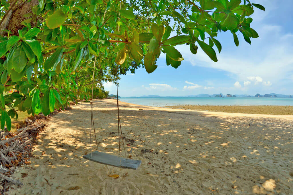 Eine Schaukel hängt von einem Baum an einem schattigen Strand
