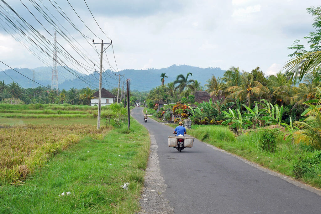 Von troopischem Grün und Reisfeldern eingerahmte Straße in Medewi auf Bali, auf der zwei Balinesen mit dem Roller unterwegs sind.