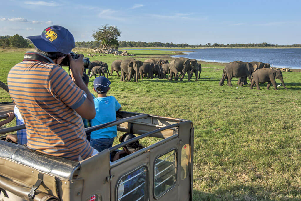 Touristen in einem Safari-Jeep, die Fotos von einer Herde wilder Elefanten machen