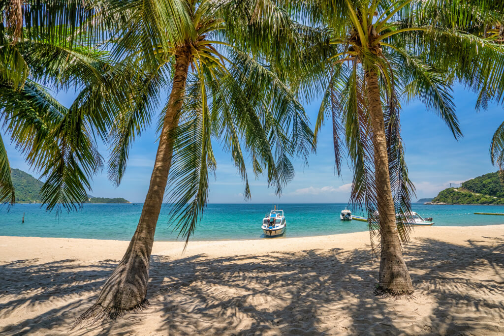 Palmenstrand auf Cham Island