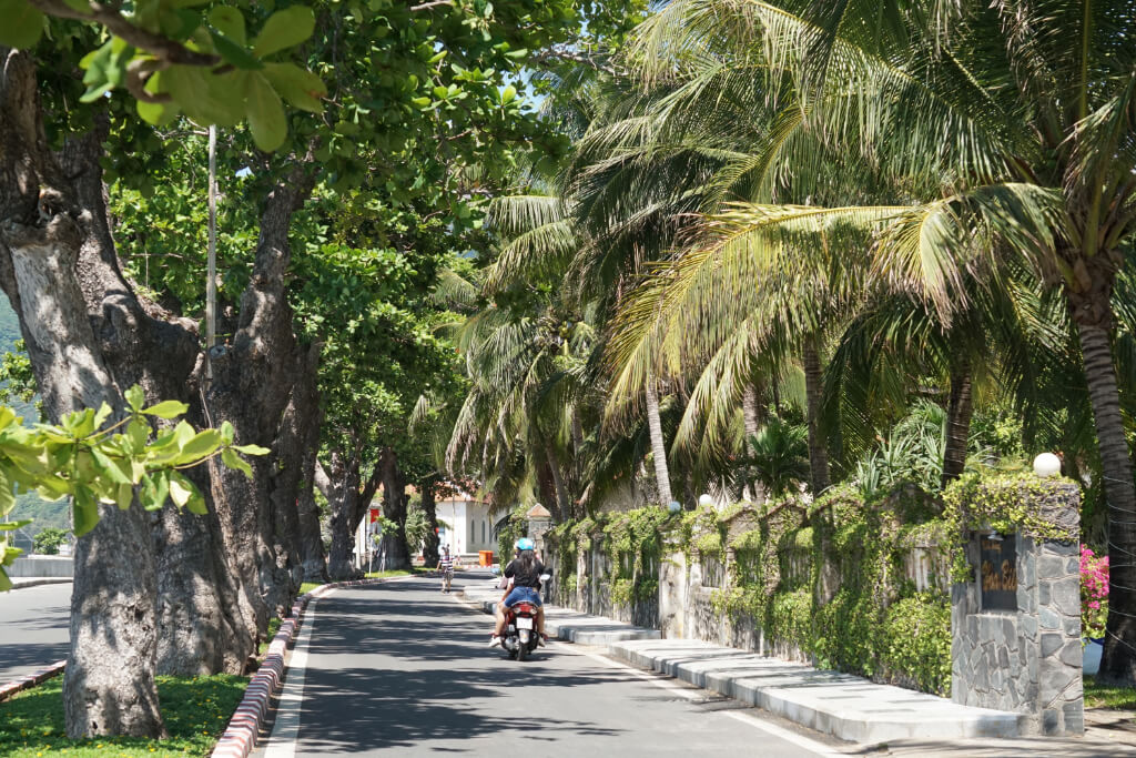 Von Bäumen beschattete Straße auf Con Dao, auf der nur ein Motorrad fährt
