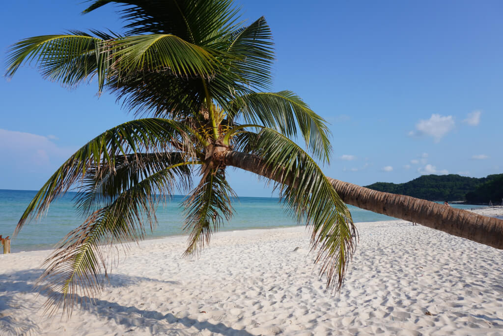 schrägstehende Palme am weißen Sandstrand von Phu Quoc